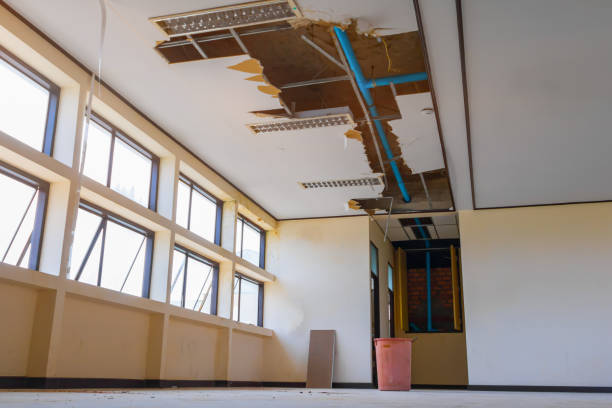Best Water damage restoration near me  in Sutter Creek, CA