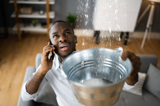 Best Professional water damage repair  in Sutter Creek, CA