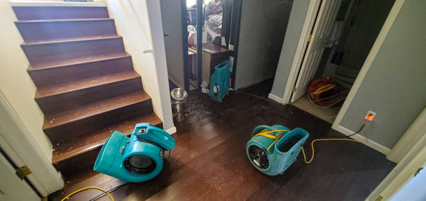 Best Water damage restoration insurance claims  in Sutter Creek, CA