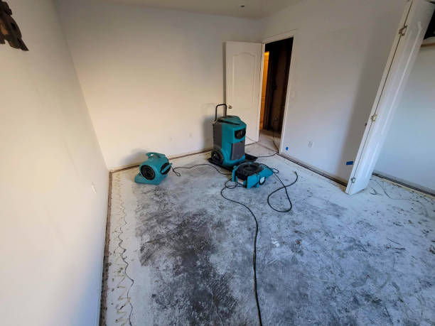  Sutter Creek, CA Water damage restoration Pros