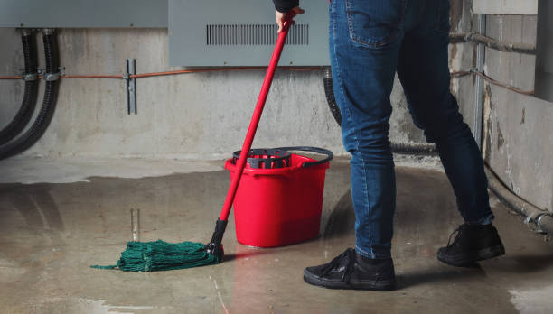 Carpet water damage restoration in Sutter Creek, CA