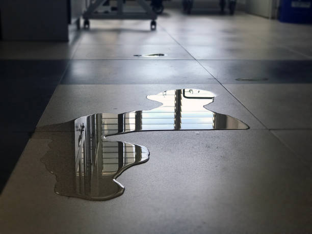 Best Basement water damage restoration  in Sutter Creek, CA